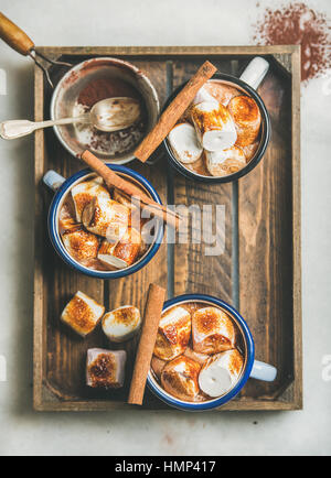 Heiße Schokolade mit Zimt und gerösteten marshmallows Stockfoto