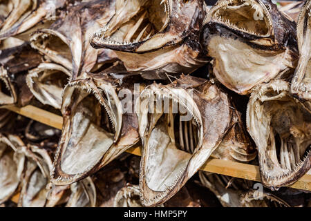 Fische shop Reine, Lofoten, Norwegen. Stockfoto