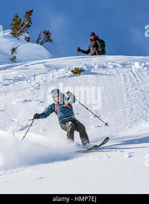 Männliche Backcountry Skifahrer im frischen Pulverschnee; Esplanade-Bereich; Selkirk Mountains in der Nähe von remote Sentry Lodge;  Britisch-Kolumbien; Kanada Stockfoto