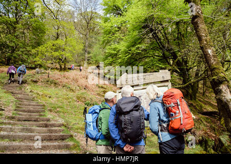 Wanderer Blick auf Informationstafel mit Karte am Beginn der Minffordd Pfad Cadair Idris (Cader Idris) im National Nature Reserve, Snowdonia Wales UK Stockfoto