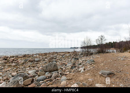 Herbst Felsenstrand mit Wellen an den Felsen im nebligen Wetter Stockfoto