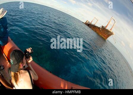 Fotografieren das Polisini griechischen Wrack (Kinsei Maru), Banken Silver Marine Sanctuary, Dominikanische Republik, Karibik Stockfoto