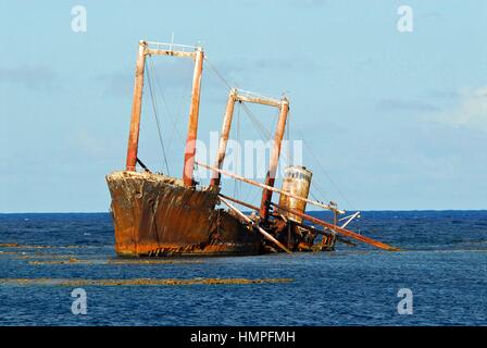 Polisini griechischen Wrack (Kinsei Maru), silberne Banken Marine Sanctuary, Dominikanische Republik, Karibik Stockfoto