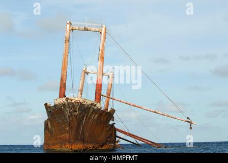 Polisini griechischen Wrack (Kinsei Maru), silberne Banken Marine Sanctuary, Dominikanische Republik, Karibik Stockfoto