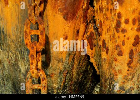 Polisini griechischen Wrack (Kinsei Maru), silberne Banken Marine Sanctuary, Dominikanische Republik, Karibik Stockfoto