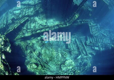 Schnorcheln am Polisini griechischen Wrack (Kinsei Maru), Banken Silver Marine Sanctuary, Dominikanische Republik, Karibik Stockfoto