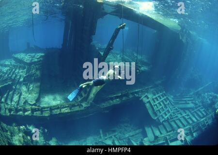 Schnorcheln am Polisini griechischen Wrack (Kinsei Maru), Banken Silver Marine Sanctuary, Dominikanische Republik, Karibik Stockfoto