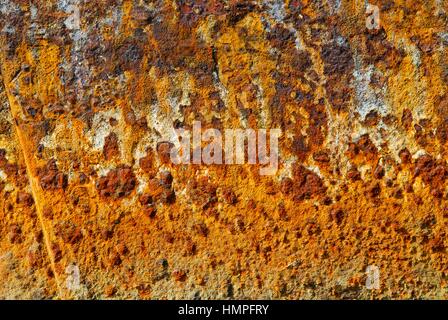 Polisini griechischen Wrack (Kinsei Maru), silberne Banken Marine Sanctuary, Dominikanische Republik, Karibik Stockfoto
