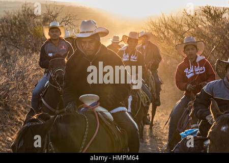 Hunderte von mexikanischen Cowboys beginnen eine Tag lang Fahrt bei Sonnenaufgang während der jährlichen Wallfahrt Cabalgata de Cristo Rey 5. Januar 2017 in San Jose del Rodeo, Guanajuato, Mexiko. Tausende von mexikanischen Cowboys und Pferd beteiligen sich die drei-Tages-Fahrt zum Berggipfel Schrein des Cristo Rey stoppen auf dem Weg an Schreinen und Kirchen. Stockfoto