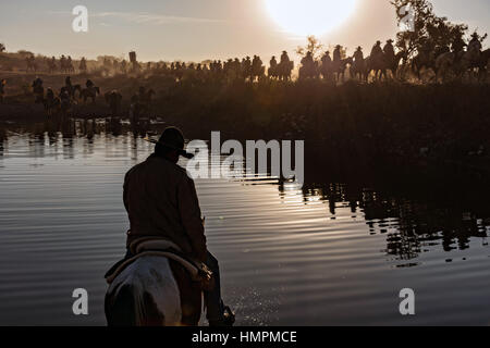 Hunderte von mexikanischen Cowboys sind von der aufgehenden Sonne während der jährlichen Wallfahrt Cabalgata de Cristo Rey 5. Januar 2017 in San José del Rodeo, Guanajuato, Mexiko Silhouette. Tausende von mexikanischen Cowboys und Pferd beteiligen sich die drei-Tages-Fahrt zum Berggipfel Schrein des Cristo Rey stoppen auf dem Weg an Schreinen und Kirchen. Stockfoto