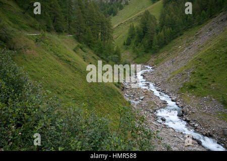 Fosse Creek im Val di Fosse (Pfossental), Val Senales (Schnalstal), Trentino Alto Adige, Italien Stockfoto