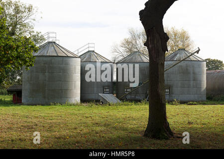 Getreide-silos Shelland Suffolk UK Stockfoto