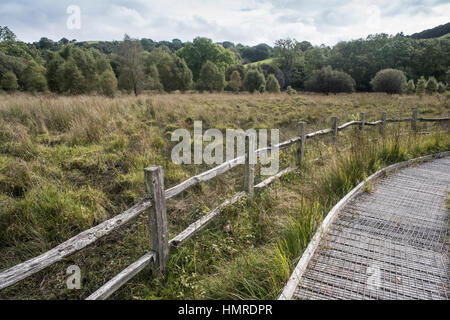 Boardwalk und Landschaft an Autos Caron National Nature Reserve, Tregaron, Wales Stockfoto