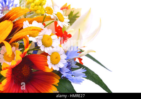 Schöne Wildblumen, Kamillen, Chrysanthemen, Kornblume, isoliert auf weiss Stockfoto