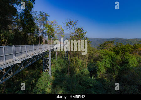 Die überdachunggehweg im Queen Sirikit Botanic Garden in Mae Rim, Chiang Mai, Thailand Stockfoto