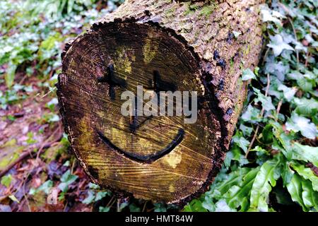 Ein lächelndes Gesicht auf einem Baumstamm in einem Holz geschnitzt Stockfoto