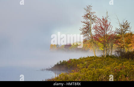 Late-summer, early-autumn morning.  Swirling of foggy mist rises from a lake into cool air.  Nature display of water states, colorful deciduous forest Stockfoto