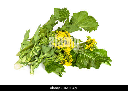 Frischer Brokkoli Rabe, Blätter und Blütenstand, isoliert auf weißem Hintergrund. Stockfoto