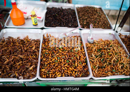 Würmer und Heuschrecken diente als Essen in Bangkok, Thailand. Stockfoto