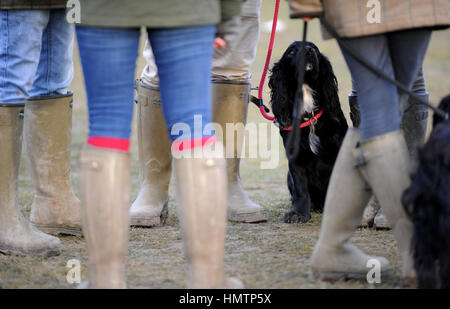 Dorset, UK. 5. Februar 2017. Die South Dorset Jagd Point to Point Rennen. Spaniels und Gummistiefeln auf dem South Dorset Rennen treffen. Bildnachweis: David Partridge / Alamy Live News Stockfoto