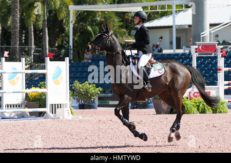 Wellington, USA. 4. Februar 2017. Georgina Bloomberg Fahrten während der SUNCAST $35.000 1,50 M Classic während des Winter Equestrian Festival in Palm Beach International Equestrian Center in Wellington, Florida. Bildnachweis: MediaPunch Inc/Alamy Live-Nachrichten Stockfoto