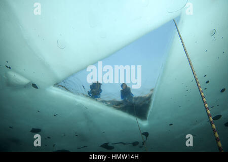 Alexandrovsky dergleichen, Ukraine. 2. Februar 2017. Tauchen Eisloch, Icedivind in wie Alexandrovsky wie Ukraine Kredit: Andrei Nekrassow/ZUMA Wire/ZUMAPRESS.com/Alamy Live News Stockfoto