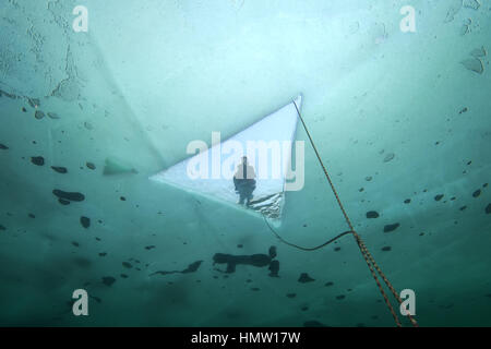 Alexandrovsky dergleichen, Ukraine. 2. Februar 2017. Tauchen Eisloch, Icedivind in wie Alexandrovsky wie Ukraine Kredit: Andrei Nekrassow/ZUMA Wire/ZUMAPRESS.com/Alamy Live News Stockfoto