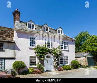 Hübsche rosa Stadthaus mit weißen Rosen um weiße Haustür, Cerne Abbas, einem Dorf in Dorset, Südwest-England, im Sommer Stockfoto