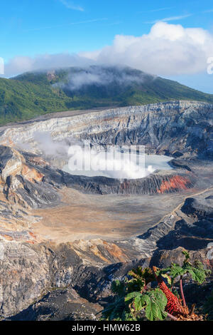 Caldera mit Kratersee, Dampf stieg von Poas Vulkan Poas Volcano National Park, Costa Rica Stockfoto