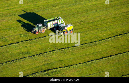 Heu Ernte mit Mäher und Traktor mit Anhänger, Luftaufnahme, Bad Fredeburg, Schmallenberg, Hochsauerlandkreis Stockfoto