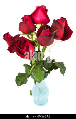 rote Rosen in einer Vase weißer Hintergrund Stockfoto