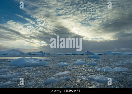 Blick auf Eisberge schwimmen im Kanal, Booth Island, antarktische Halbinsel im Januar 2014-Landschaft. Stockfoto