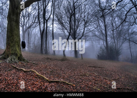 Wir sind seit den letzten Tagen unter einer Nebeldecke hier in den East Midlands. Fotos verleiht großes Drama! Stockfoto