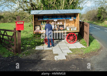 Ein Kunde kauft frisches Gemüse an einem am Straßenrand stand in Cornwall. Stockfoto