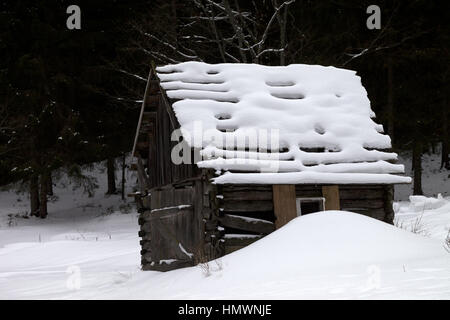 Alte Holzhütte schneebedeckt neue gefallen im Winterwald am grauen Tag. Ukraine, Karpaten. Stockfoto