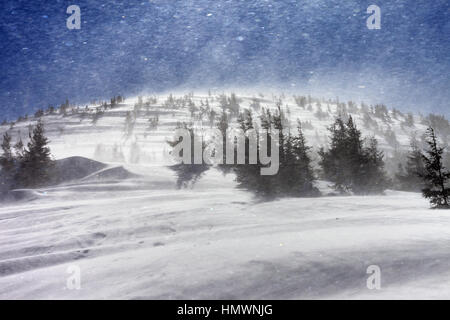 Blizzard im Schnee Winterberge. Karpaten, Ukraine. Stockfoto