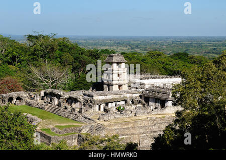 Antike Stadt Palenque sitzt wie ein König auf einem Thron des Dschungels wo Berge und Ebenen aufeinander treffen. Das Bild zeigt Gesamtansicht der Schlossanlage, Stockfoto