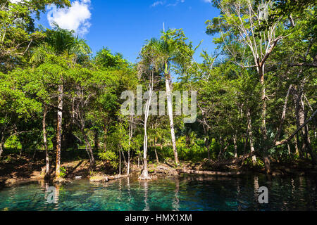 Noch blaue See in tropischen Wald, Naturlandschaft der Dominikanischen Republik Stockfoto