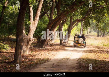 TALA, Indien - 9. Januar 2015: Eine Safari Jeep auf einem Pfad durch Wald in Bandhavgarh National Park in Madhya Pradesh. Der Park ist ein populärer touristischer Stockfoto