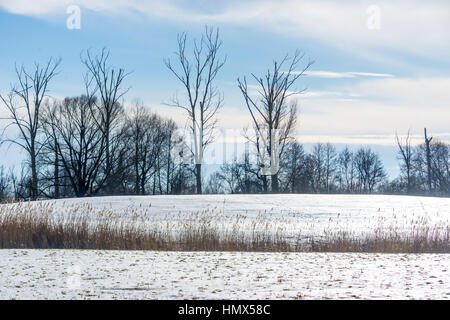 Winter Daube Bayern Szene deutschland gefroren Stockfoto