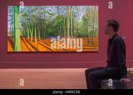 Tate Britain, London, UK. 6. Februar 2017. Woldgate Wald 6 & 9. November 2006 - David Hockney, eine neue Retrospektive in der Tate Britain. Es umfasst mehr als 200 Werke und feiert Hockneys Leistungen in Malerei, Zeichnung, Druck, Fotografie und Video. Als er seinen 80. Geburtstag nähert, bietet diese Ausstellung eine noch nie dagewesene Übersicht über 60-Jahr-Karriere des Künstlers. Es läuft von 9 Feb bis 29. Mai 2017. 6. Februar 2017 London. Bildnachweis: Guy Bell/Alamy Live-Nachrichten Stockfoto