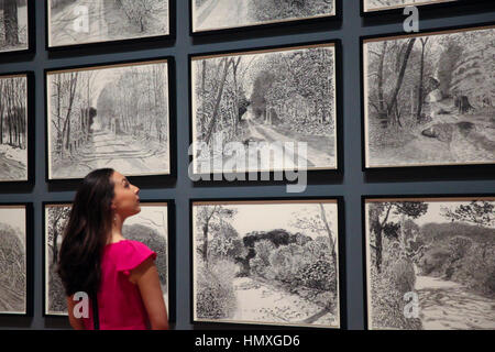 Tate Britain, London, Vereinigtes Königreich - 6. Februar 2017 - Mitglied Galerie Mitarbeiter befasst sich mit Skizzen, genannt "Die Ankunft des Frühlings im Jahr 2013" des britischen Künstlers David Hockney während einer Pressevorschau einer Retrospektive seiner Werke in der Tate Britain, Credit: Dinendra Haria/Alamy Live News Stockfoto