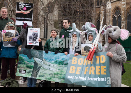 London, UK. 6. Februar 2017. Tierrechte Aktivisten, von denen einige als Elefanten gekleidet, nehmen Teil in eine friedliche Versammlung außerhalb des Parlaments, die Debatte über das UK Elfenbein Verbot zu unterstützen. Bildnachweis: Mark Kerrison/Alamy Live-Nachrichten Stockfoto