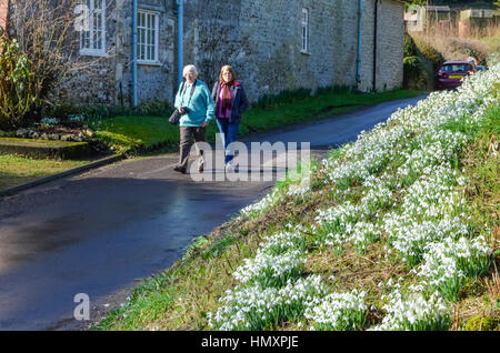 Compton Valence, Dorset, UK. 7. Februar 2017. Großbritannien Wetter. Besucher zu Fuß entlang der Spur durch das Dorf Compton Valence in Dorset, die jährliche Anzeige von Schneeglöckchen auf dem Seitenstreifen der Straße an einem schönen sonnigen Tag anzuzeigen. Bildnachweis: Graham Hunt/Alamy Live-Nachrichten Stockfoto