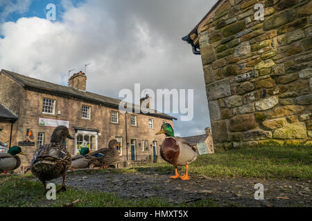 Dunsop Bridge, UK. 7. Februar 2017. Wetter-News, ein Tag der Sonne mit den ungeraden Lichtdusche für Dundop Brücke in Lancashire. Dieses kleine Dorf ist reportably im Mittelpunkt der britischen Inseln. Bildnachweis: Gary Telford/Alamy Live-Nachrichten Stockfoto