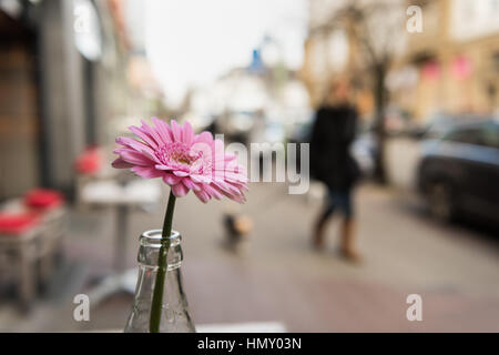 ESSEN, Deutschland - 25. Januar 2017: Isolierte Rosenblüte, die Bestandteil der outdoor Tisch Dekoration Ofa Café an der Rüttenscheider Straße ist Stockfoto