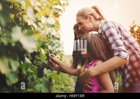 Winzer Familie glücklich zusammen im Weinberg vor der Ernte Stockfoto