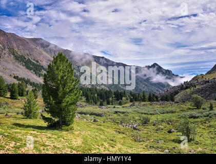 Sibirische Kiefer und Berg Tundra. Ost-Sibirien. Russland Stockfoto