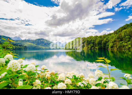 Der Alpsee ist ein See in Bayern, Deutschland. Es befindet sich in der Nähe von Schloss Neuschwanstein und Hoshenschwangau Burgen. Stockfoto