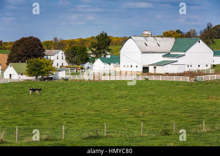 Eine große Amish-Farm-Heim in der Nähe von Berlin, Ohio, USA. Stockfoto